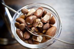 La castaña se ha convertido en un importante producto para Madre de Dios que permitirá el desarrollo sostenible de esta región.ANDINA/Difusión