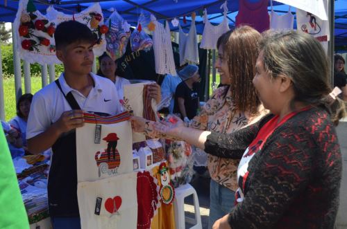 Feria de Ideas Productivas Navidad solidaria, que se realizó en los exteriores de la sede central del Ministerio de Educación. Foto: ANDINA/Difusión