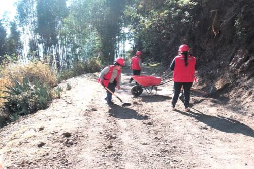 La recuperación de las rutas de acceso y salida de las comunidades rurales ha permitido también optimizar la transitabilidad para el transporte de productos agropecuarios y mercancías hacia los mercados locales y regionales.