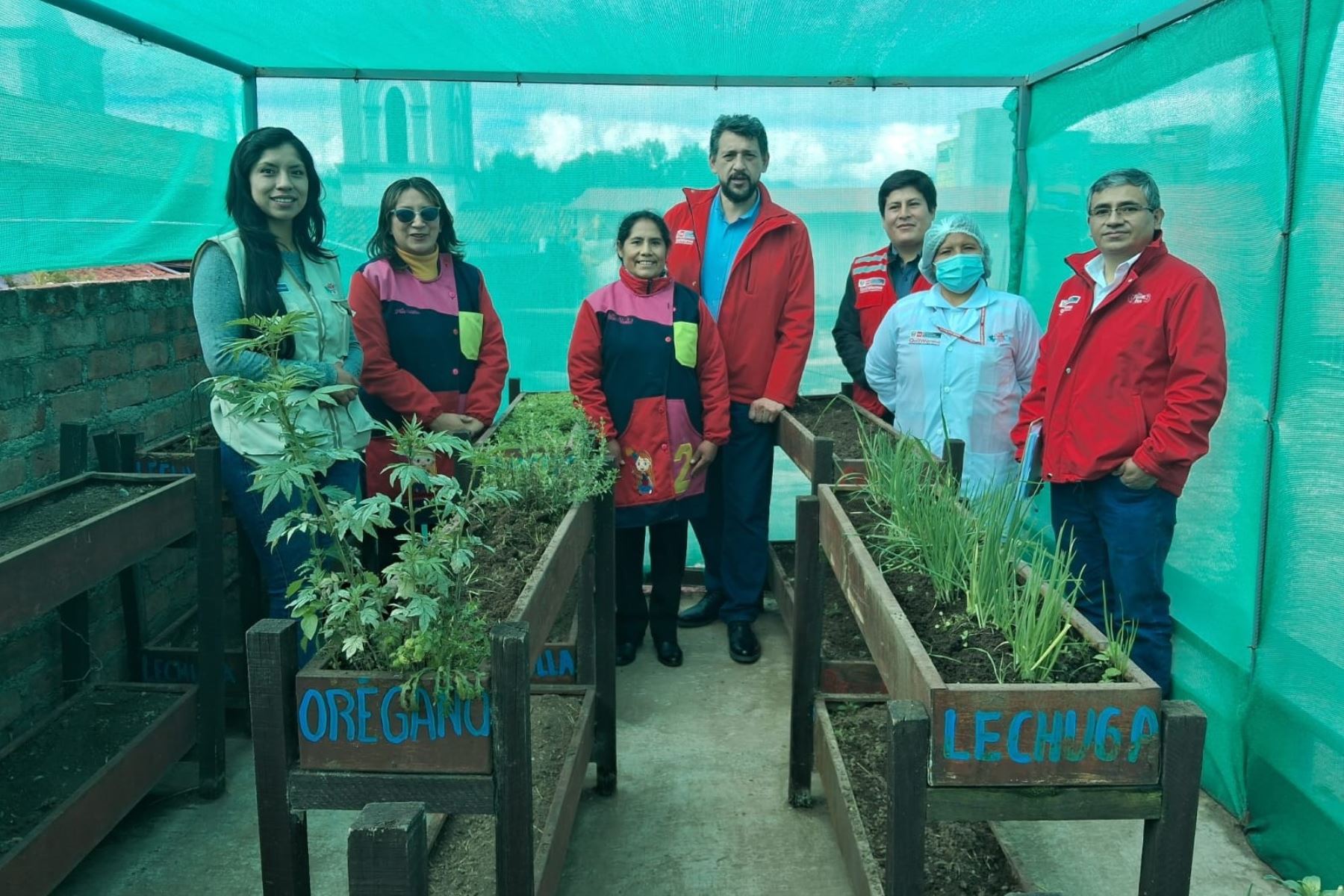 En el huerto escolar siembran verduras ecológicas como cebollita china, apio, orégano y lechuga para complementar los platillos para el consumo de los 93 escolares del nivel inicial.