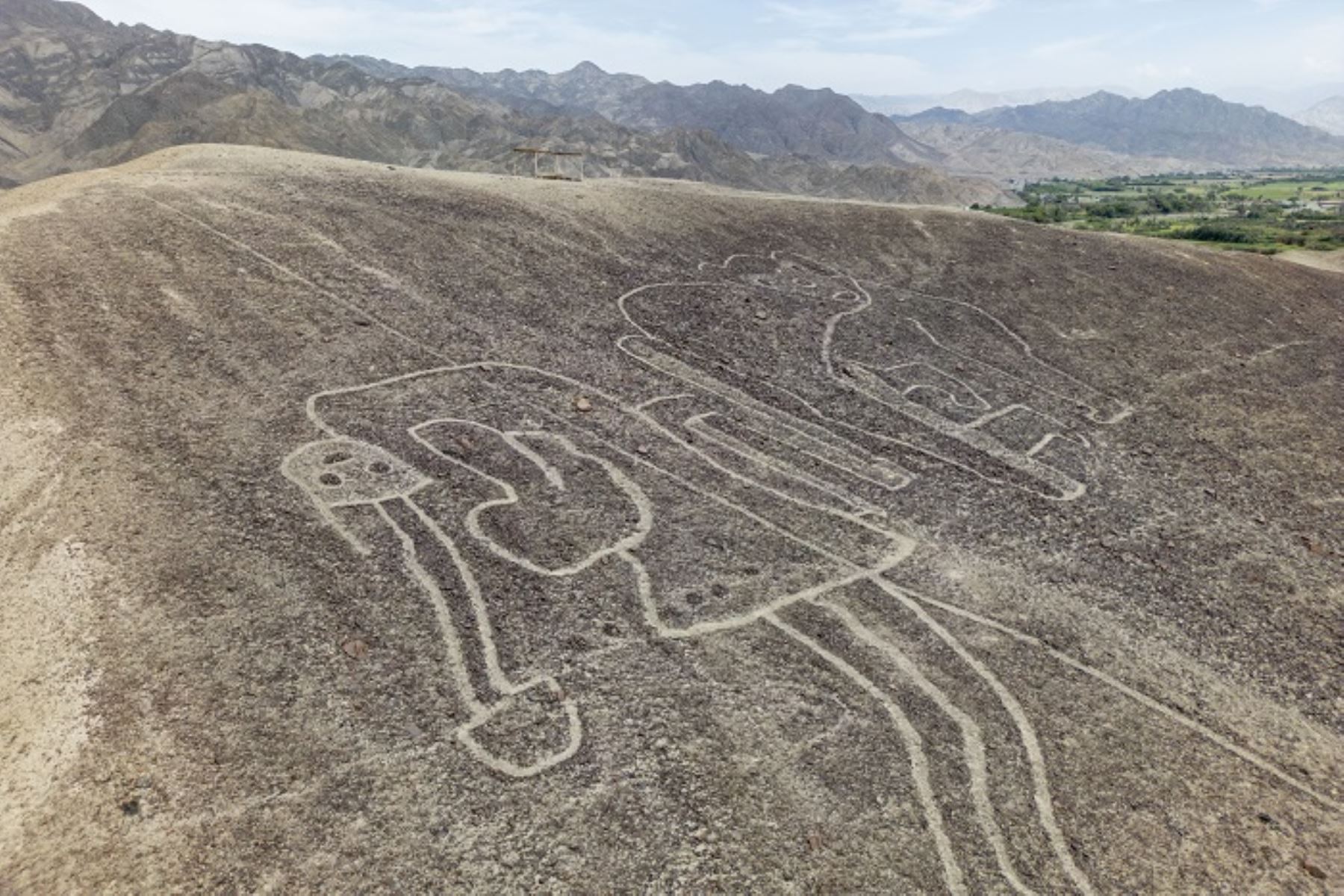 Las Líneas y Geoglifos de Nasca y Palpa, que abarcan una vasta extensión del desierto, representan figuras geométricas, zoomorfas (animales) y fitomorfas (plantas), así como líneas y campos barridos.