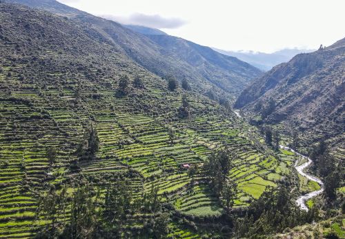 Más de 85,000 productores dedicados a la agricultura familiar de Apurímac serán los primeros beneficiarios del proyecto de recuperación de Andenes. ANDINA/Difusión