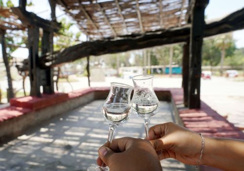 Conoce los documentos certificados por la Unesco que confirman el origen peruano del pisco. Los manuscritos se remontan a fines del siglo XVI. Foto: Genry Bautista