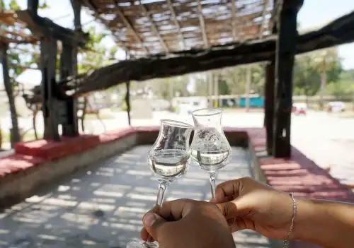 Conoce los documentos certificados por la Unesco que confirman el origen peruano del pisco. Los manuscritos se remontan a fines del siglo XVI. Foto: Genry Bautista