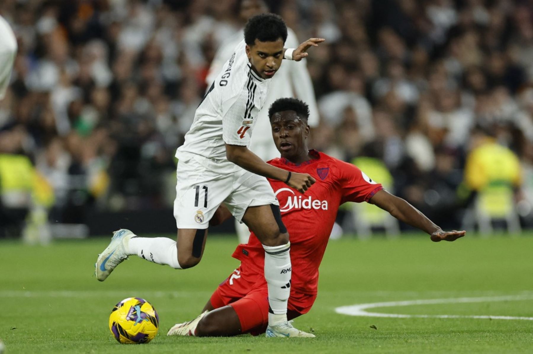 El delantero brasileño del Real Madrid #11 Rodrygo y el centrocampista belga del Sevilla #12 Albert-Mboyo Sambi Lokonga (R) compiten por el balón durante el partido de fútbol de la liga española entre el Real Madrid CF y el Sevilla FC en el estadio Santiago Bernabéu de Madrid el 22 de diciembre de 2024. (Foto de OSCAR DEL POZO / AFP)