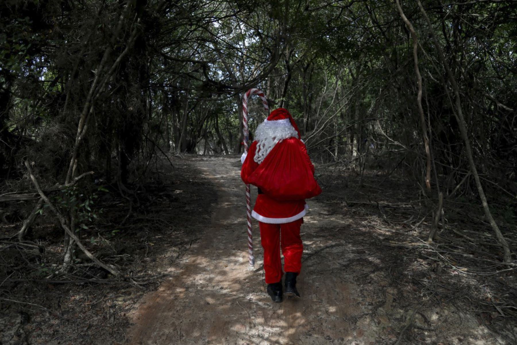 El voluntario Jorge Alberto Barroso, vestido de Papá Noel, camina por el bosque para entregar regalos a los niños en la comunidad ribereña de Abelha, en la ciudad de Manaos, estado de Amazonas, norte de Brasil, el 20 de diciembre de 2024. Desde 1998, el grupo "Amigos de Papá Noel" ha estado promoviendo la Navidad para los niños en las comunidades rurales y ribereñas de la selva amazónica. (Foto de MICHAEL DANTAS / AFP)