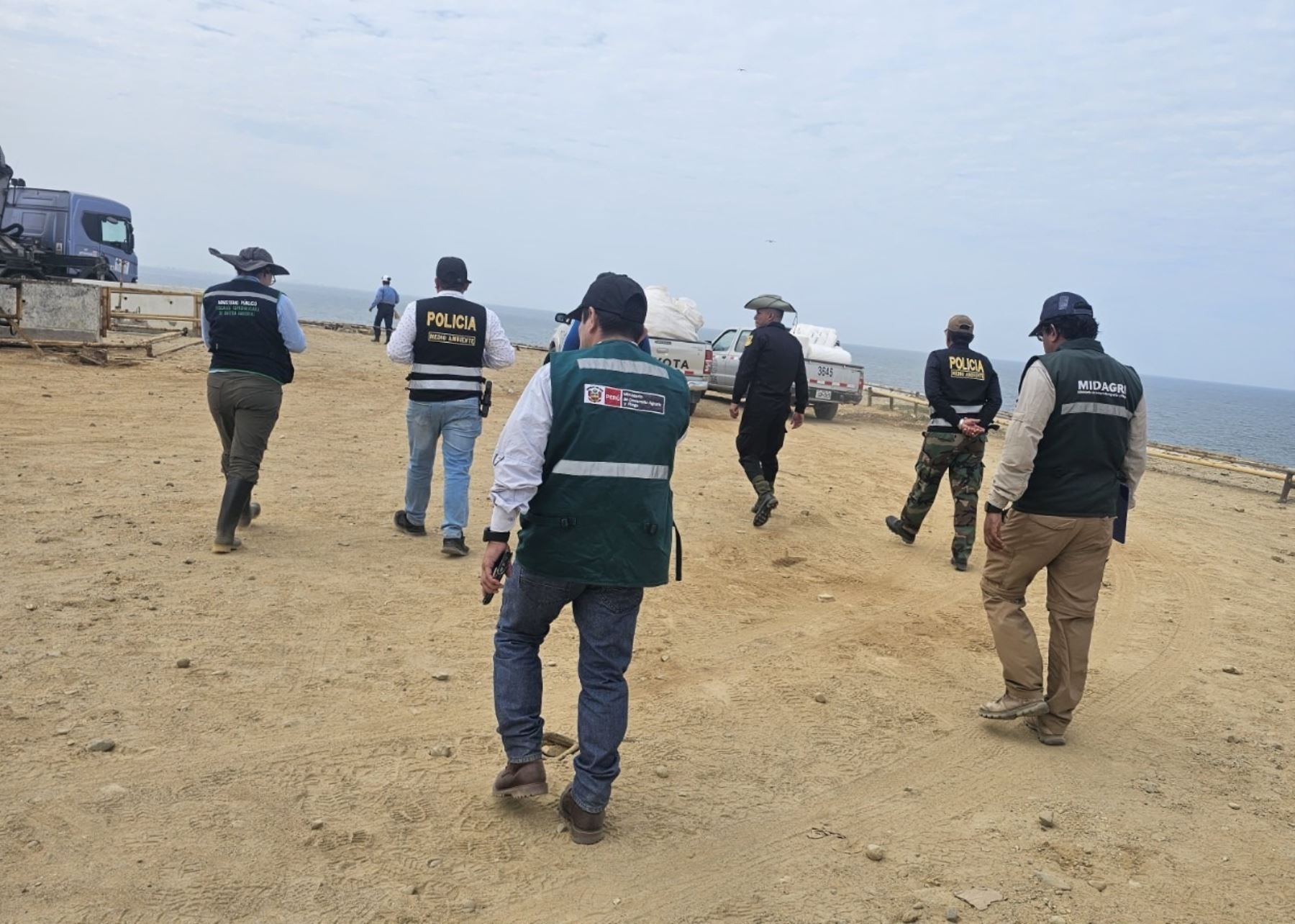 Brigadistas del Serfor se desplegaron para iniciar el rescate y rehabilitación de especies afectadas por el derrame de petróleo registrado en la playa Las Capullanas, ubicada en la provincia de Talara, región Piura. ANDINA/Difusión