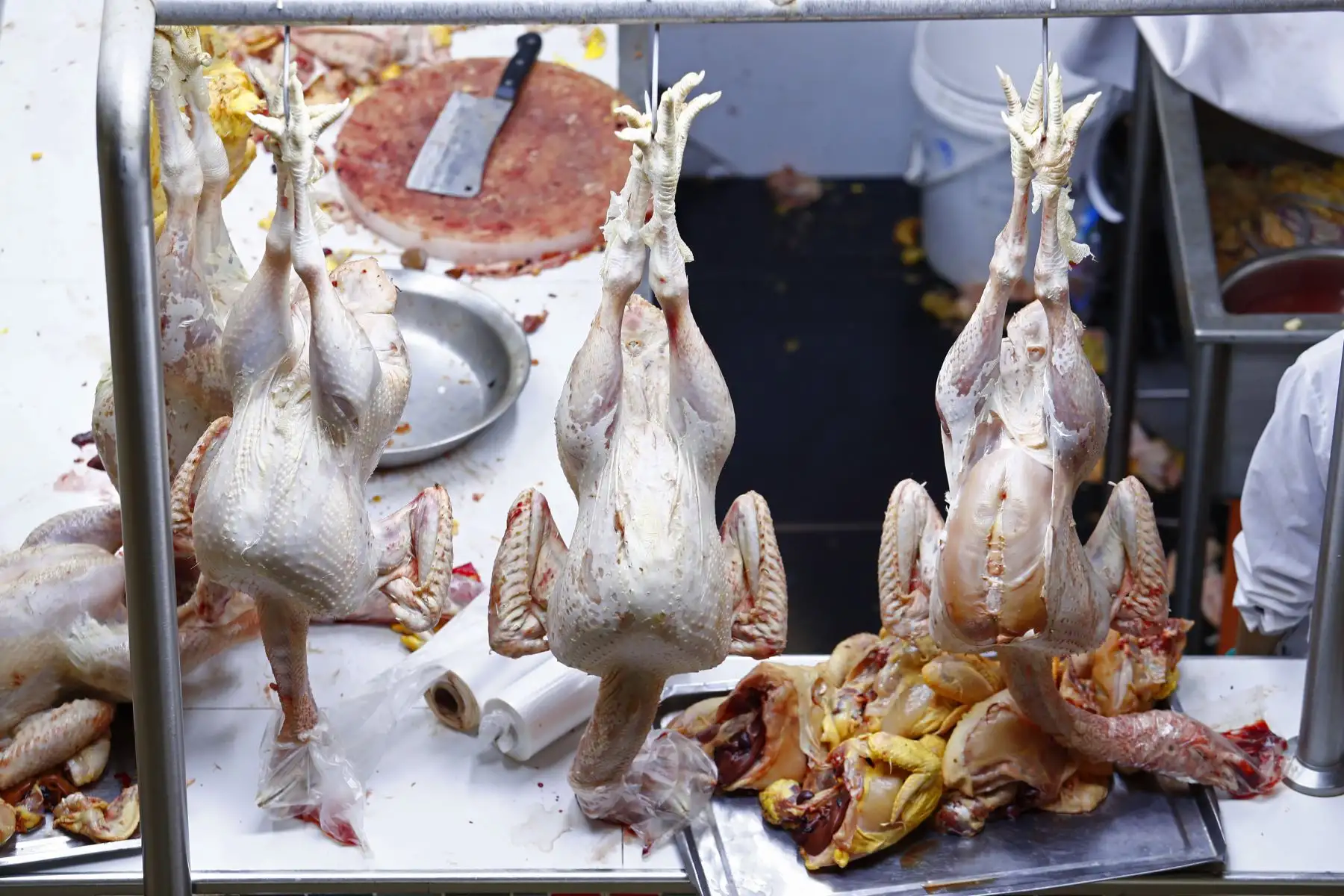 A vísperas de celebrar la Navidad, decenas de personas acuden al Mercado Ramón Castilla, ubicado en el área comercial del Mercado Central en el Cercado de Lima, para comprar pavos, ave que por tradición es el principal protagonista de la cena navideña. Foto: ANDINA/Daniel Bracamonte