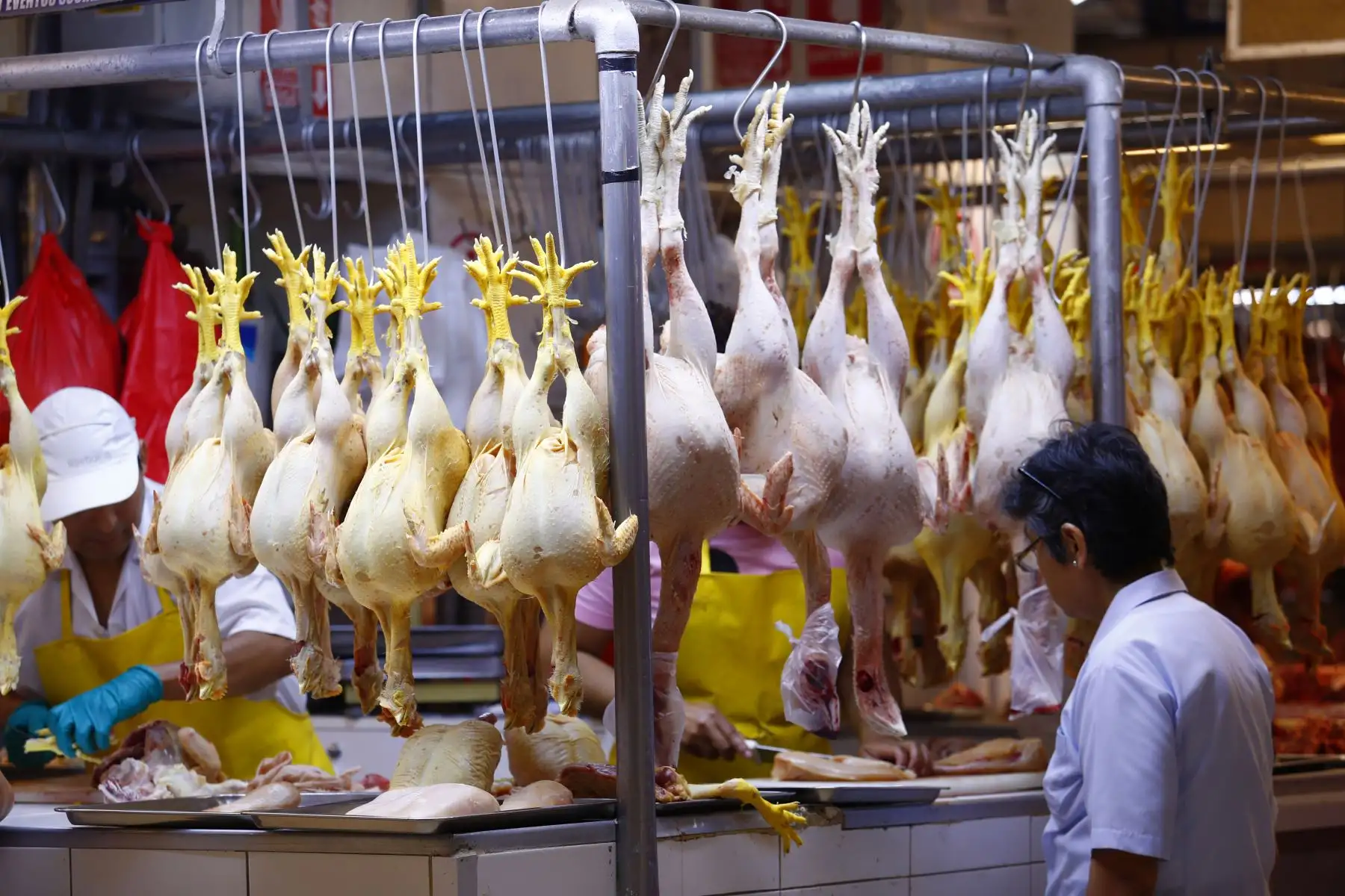 A vísperas de celebrar la Navidad, decenas de personas acuden al Mercado Ramón Castilla, ubicado en el área comercial del Mercado Central en el Cercado de Lima, para comprar pavos, ave que por tradición es el principal protagonista de la cena navideña. Foto: ANDINA/Daniel Bracamonte