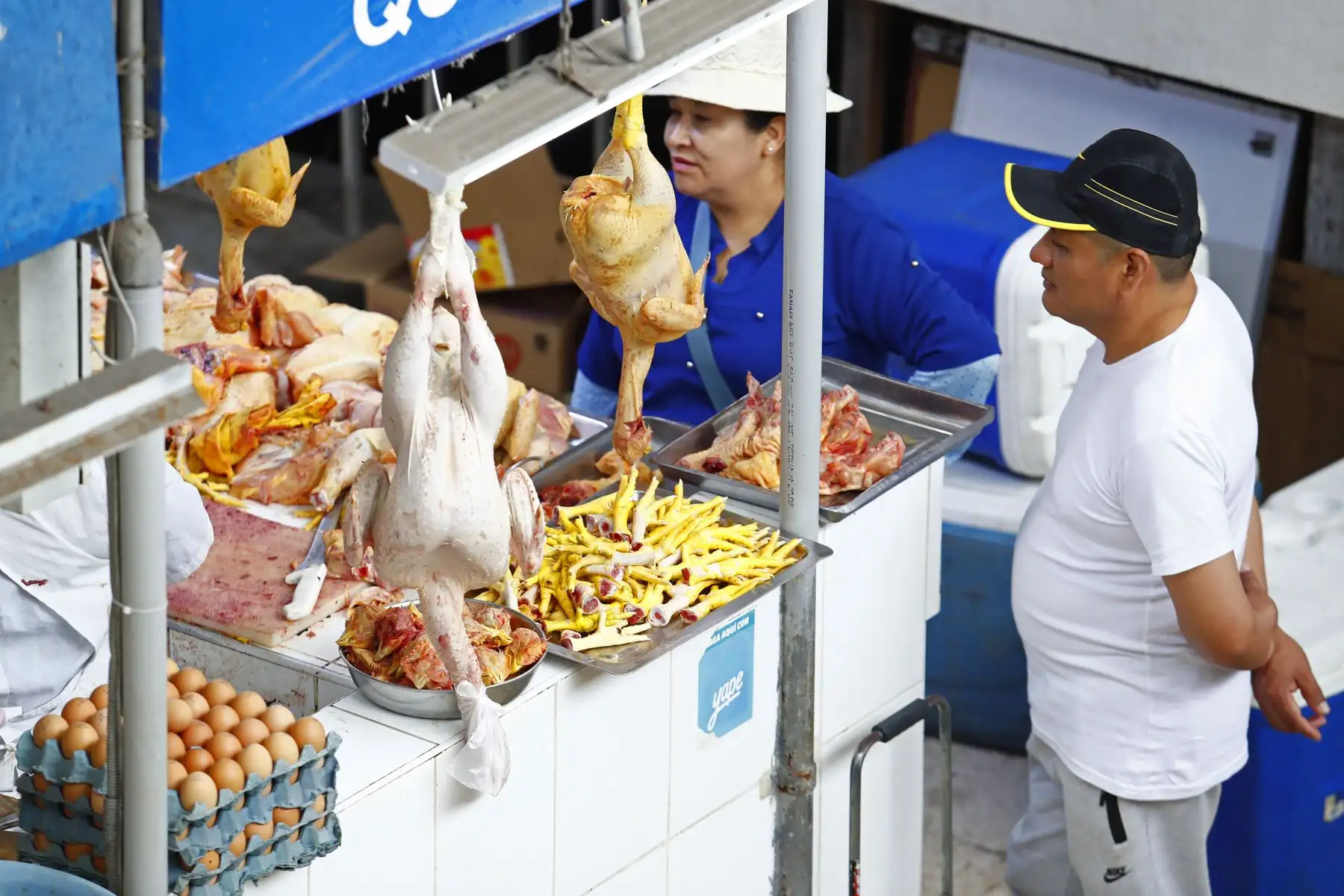 A vísperas de celebrar la Navidad, decenas de personas acuden al Mercado Ramón Castilla, ubicado en el área comercial del Mercado Central en el Cercado de Lima, para comprar pavos, ave que por tradición es el principal protagonista de la cena navideña. Foto: ANDINA/Daniel Bracamonte