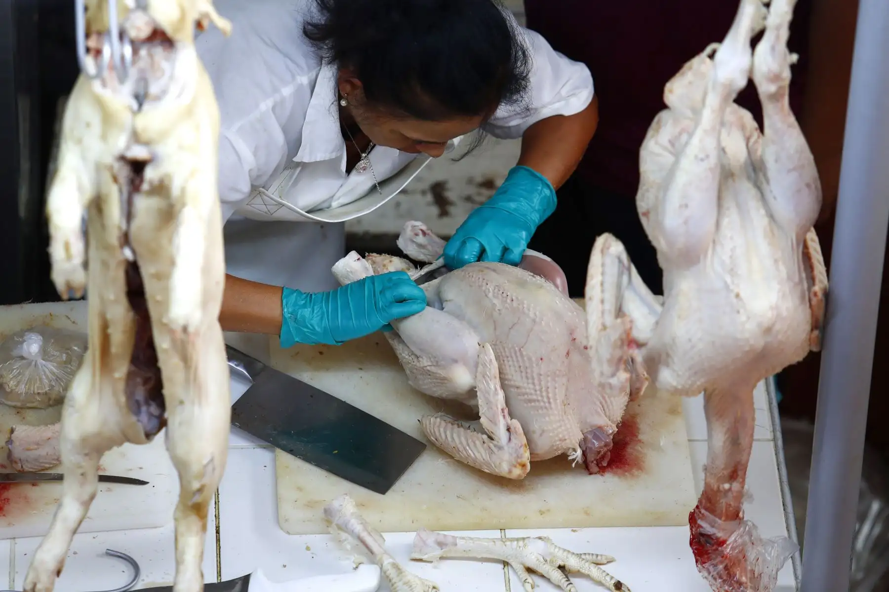 A vísperas de celebrar la Navidad, decenas de personas acuden al Mercado Ramón Castilla, ubicado en el área comercial del Mercado Central en el Cercado de Lima, para comprar pavos, ave que por tradición es el principal protagonista de la cena navideña. Foto: ANDINA/Daniel Bracamonte