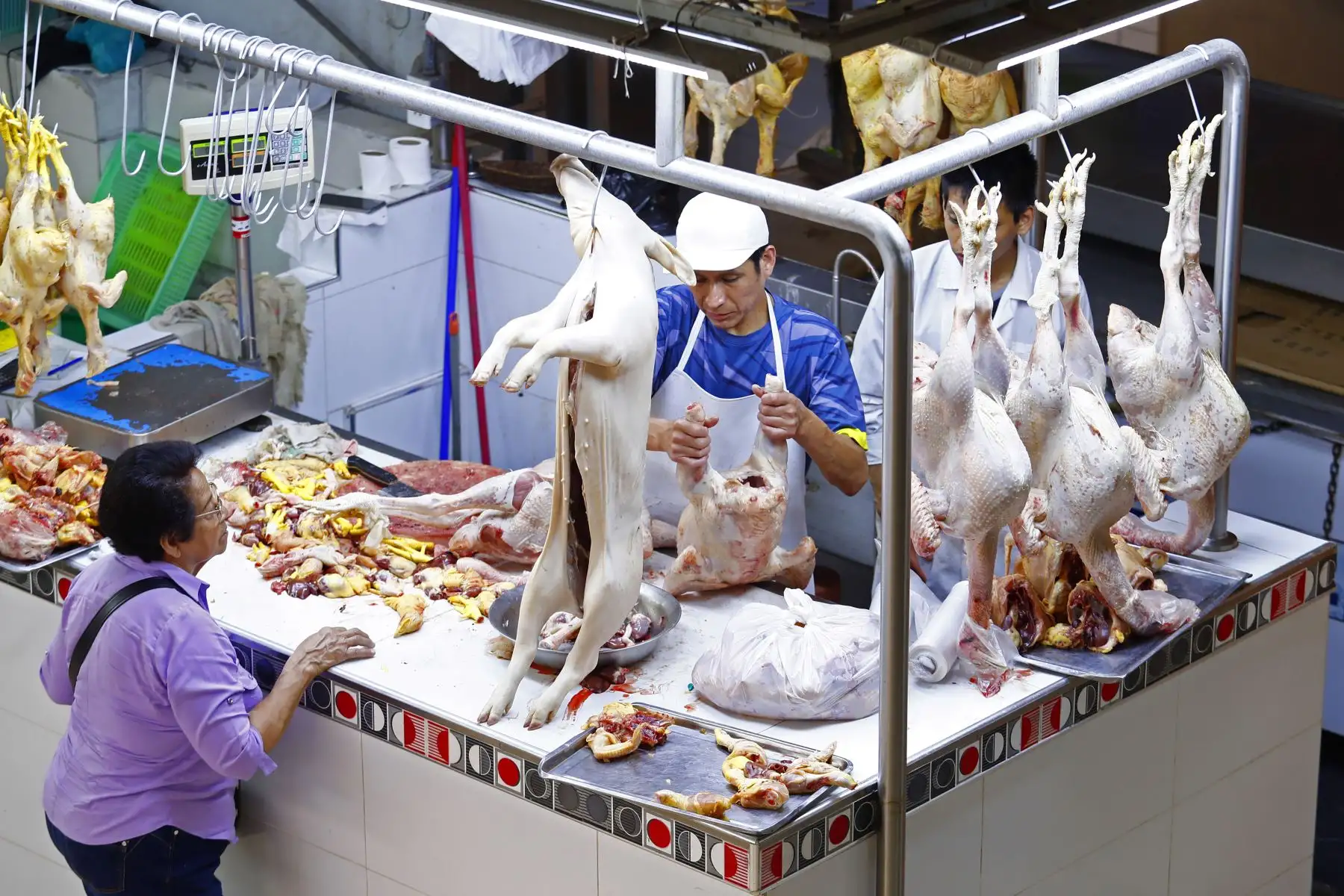 A vísperas de celebrar la Navidad, decenas de personas acuden al Mercado Ramón Castilla, ubicado en el área comercial del Mercado Central en el Cercado de Lima, para comprar pavos, ave que por tradición es el principal protagonista de la cena navideña. Foto: ANDINA/Daniel Bracamonte