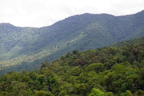 Proyecto "Mejoramiento y Ampliación del Ordenamiento Forestal en 9 Departamentos" del BPS del Serfor, tiene como objetivo lograr 62.9 millones de hectáreas zonificadas en alianza con los gobiernos regionales.