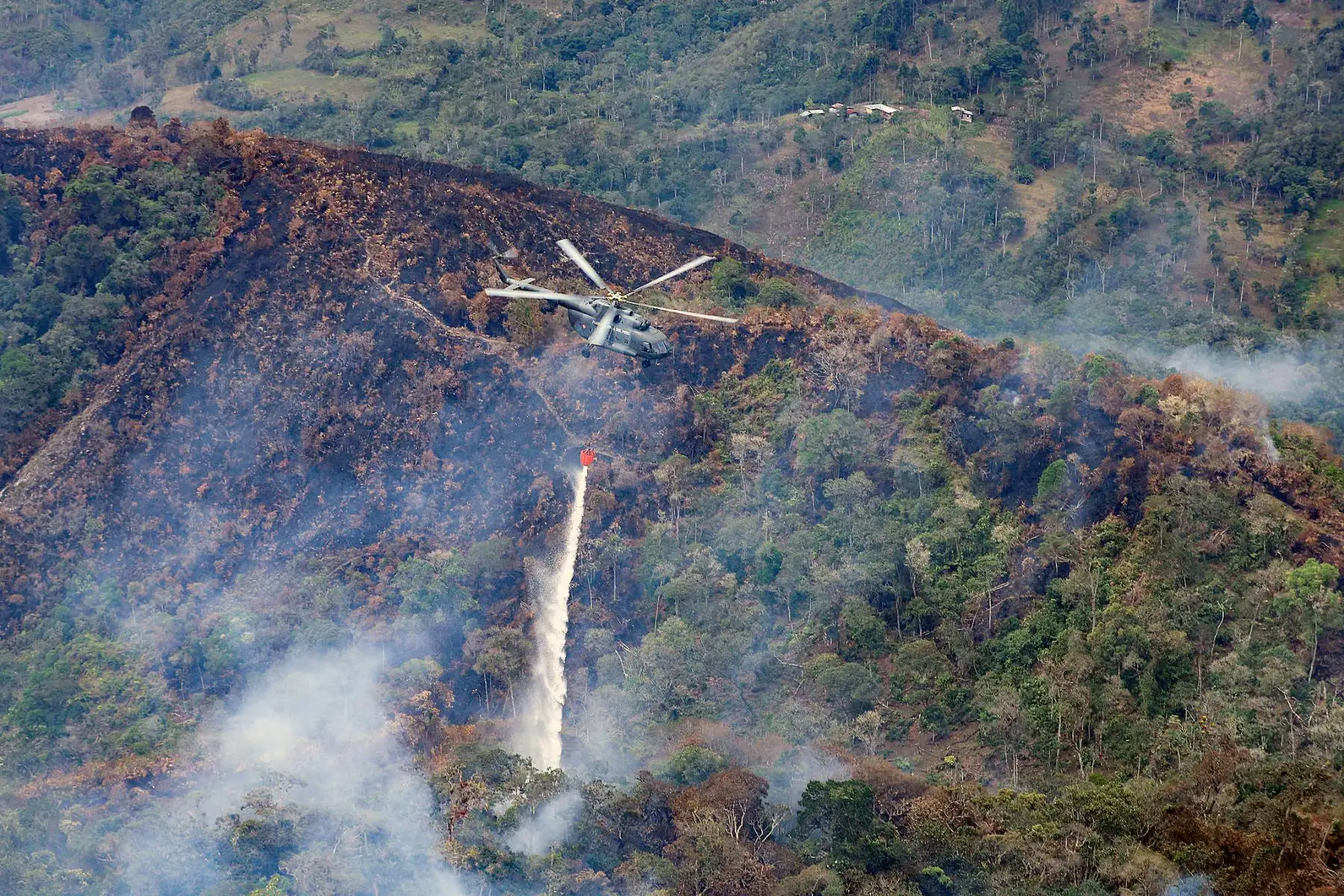 Los incendios forestales afectaron a 22 regiones. 
Foto: Despacho Presidencial