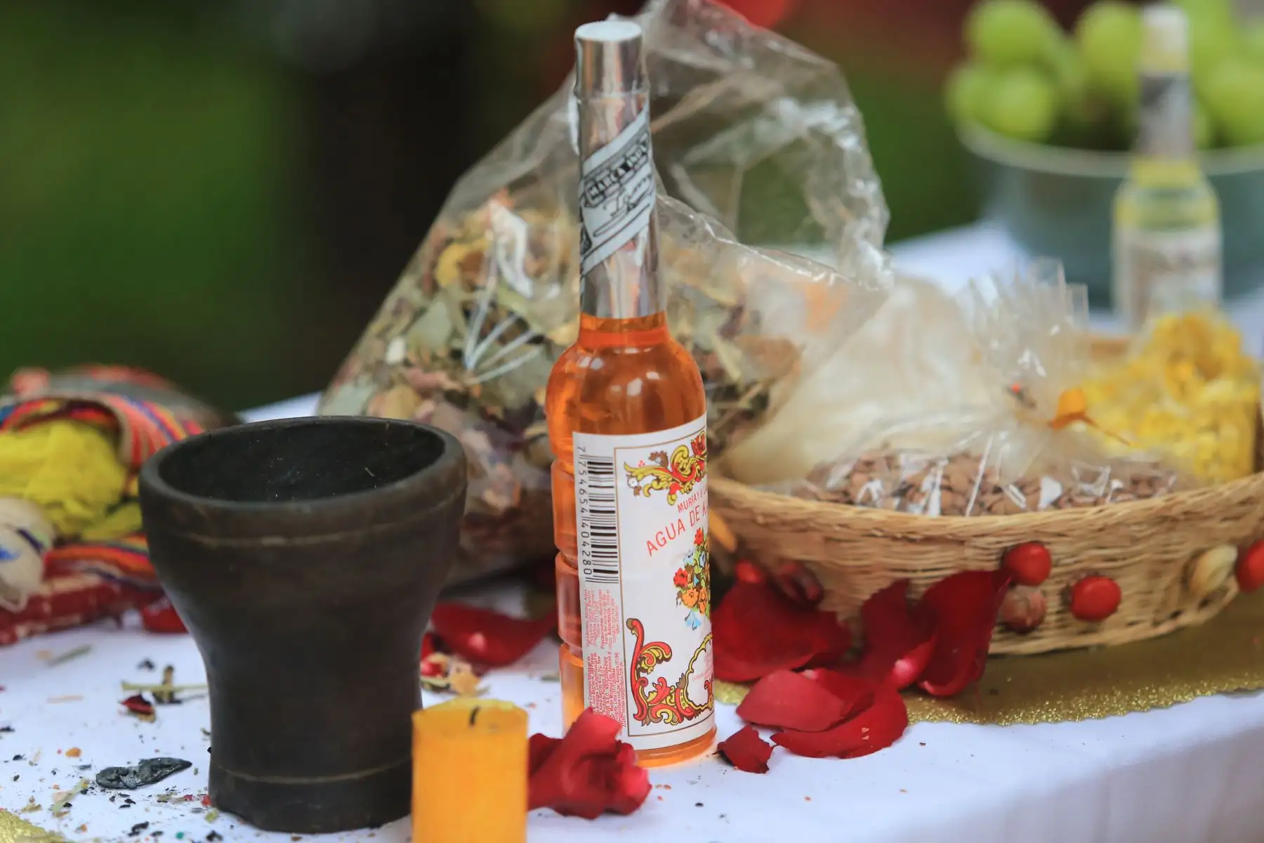 Los nuevos rituales también incluyen el frotar a las personas con el armadillo (quirquincho) o el uso de tragos preparados con aguardiente y diversas plantas maceradas, las que pueden provocar severos daños a la salud.
Foto: ANDINA/Héctor Vinces