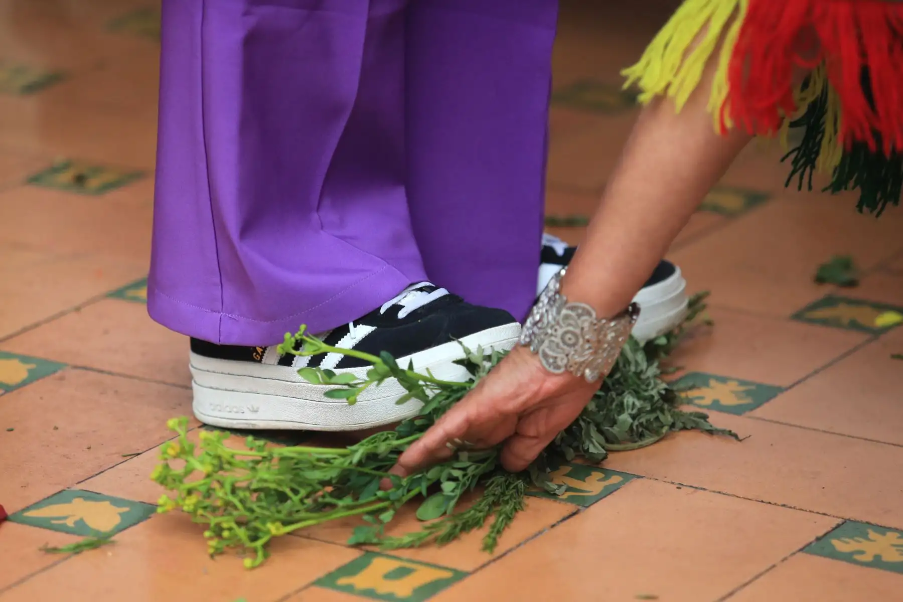 Los nuevos rituales también incluyen el frotar a las personas con el armadillo (quirquincho) o el uso de tragos preparados con aguardiente y diversas plantas maceradas, las que pueden provocar severos daños a la salud.
Foto: ANDINA/Héctor Vinces