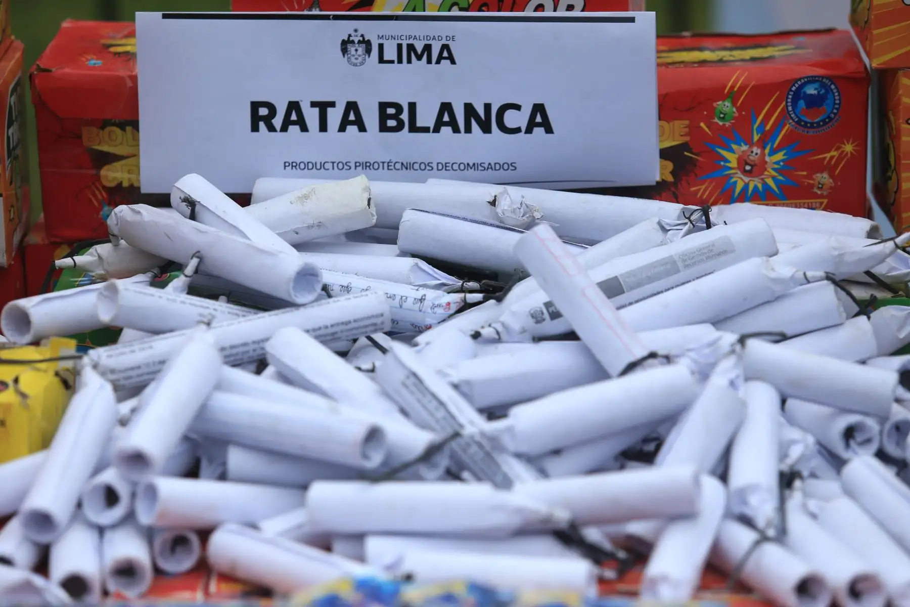 La Municipalidad de Lima a través de la Gerencia de Fiscalización y Control decomisó más de 1 tonelada de pirotécnicos en el Mercado Central y Mesa Redonda, que venían siendo ofertados de manera ilegal, desde misileras, fuentes, bengalas, candelas romanas, cajas de cuetecillos, volcanes, voladores, silbadores, hasta bombitas, bombardas, truenos y otros. Declara: Mariella Falla, gerente de Fiscalización. FOTO:ANDINA/Héctor Vinces