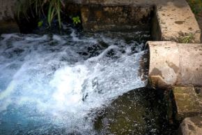 El uso de los pozos irrigará 1258 hectáreas de terrenos agrícolas pertenecientes a las Juntas de Usuarios de los valles de La Chira, Medio Bajo Piura, Alto Piura y San Lorenzo. 