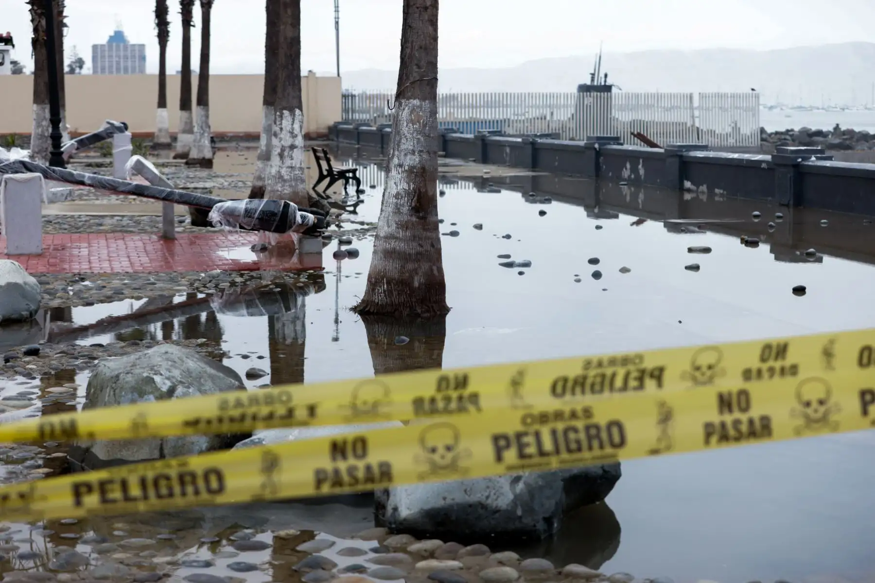 La Municipalidad del Callao ha reforzado sus medidas de prevención ante los oleajes anómalos que vienen afectando la costa chalaca. Entre las acciones destacadas se encuentra la instalación de barreras de contención y señalización en las áreas de mayor riesgo, así como el fortalecimiento de campañas informativas para orientar a la población sobre medidas de seguridad. Foto: ANDINA/Luis Iparraguirre