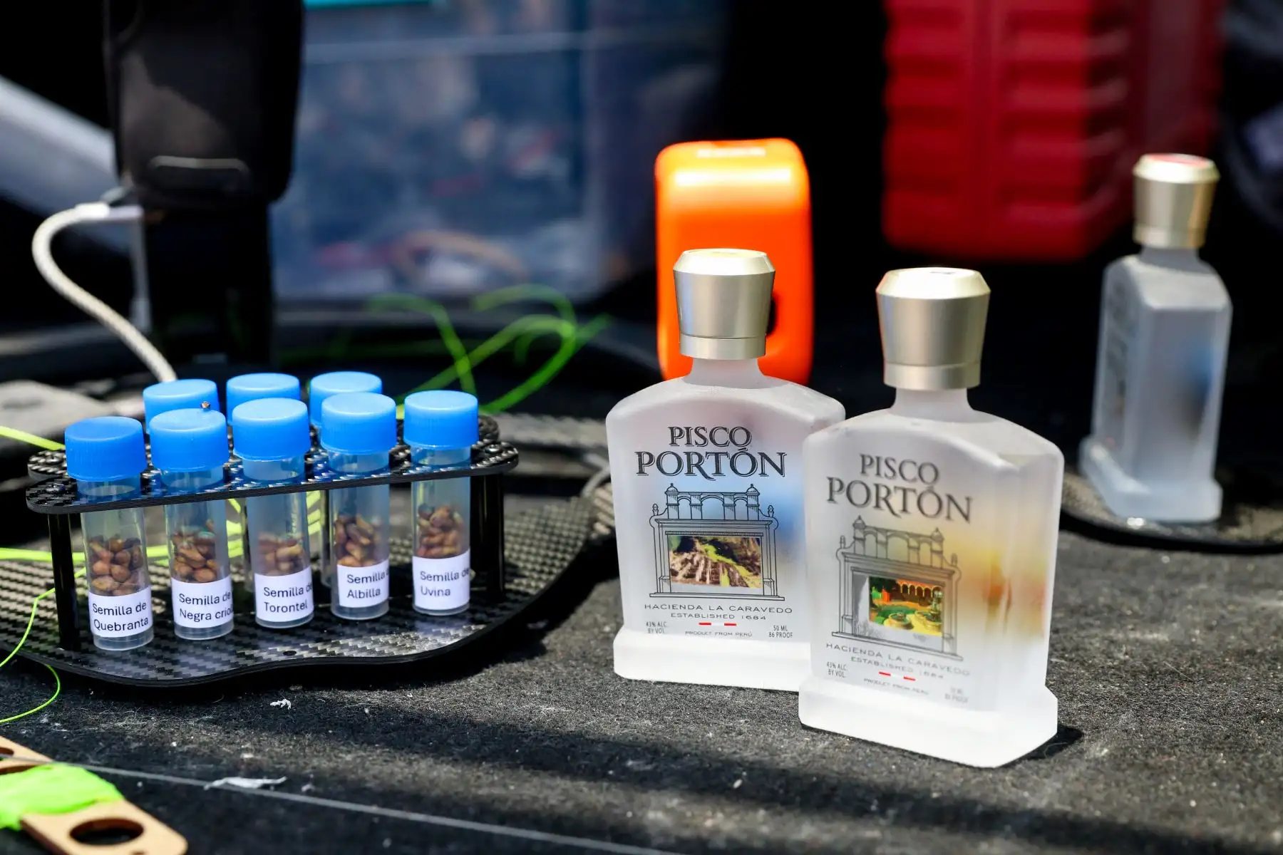 Se enviaron dos ediciones mosto verde de pisco Portón de 50ml y las ocho variedades de semillas de uvas pisqueras: Negra Criolla, Mollar, Quebranta, Uvina, Italia, Torontel, Moscatel y Albilla, además de que recibieron las muestras control de los investigadores de La Caravedo. Foto: ANDINA/Braian Reyna