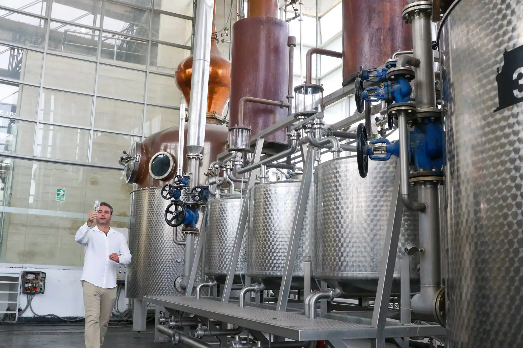 Se enviaron dos ediciones mosto verde de pisco Portón de 50ml y las ocho variedades de semillas de uvas pisqueras: Negra Criolla, Mollar, Quebranta, Uvina, Italia, Torontel, Moscatel y Albilla, además de que recibieron las muestras control de los investigadores de La Caravedo. Foto: ANDINA/Braian Reyna