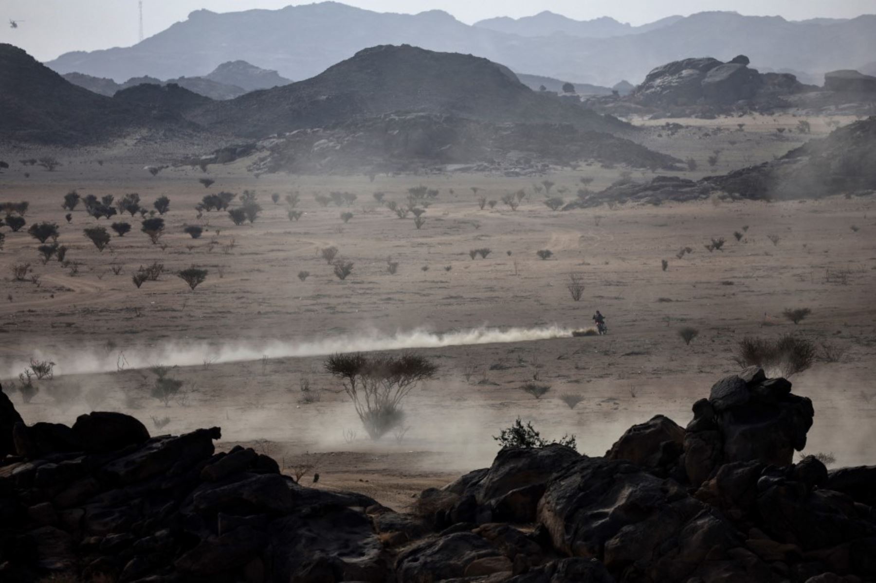 Un piloto de mootocicleta conduce a través del desierto durante el prólogo del 47º Rally Dakar, en Bisha, Arabia Saudita, el 3 de enero de 2025. Foto: AFP