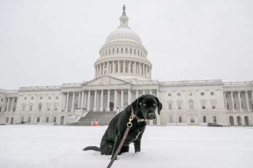 Tormenta invernal cubre de nieve el este de los Estados Unidos y deja hasta el momento 5 muertos