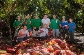 Cosecha histórica impulsa el desarrollo económico y social de la región Huánuco. Foto: Devida