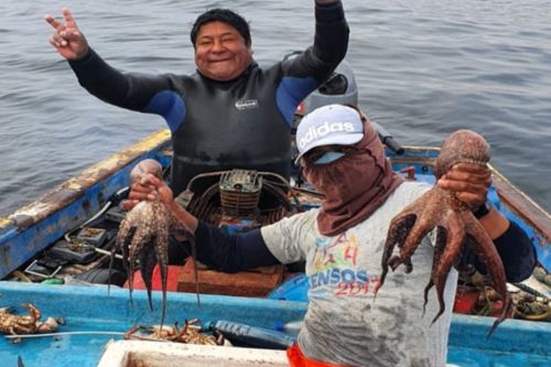 Pescadores artesanales de Ilo se benefician con modelo innovador para el aprovechamiento del pulpo. Foto: SERNANP/Difusión