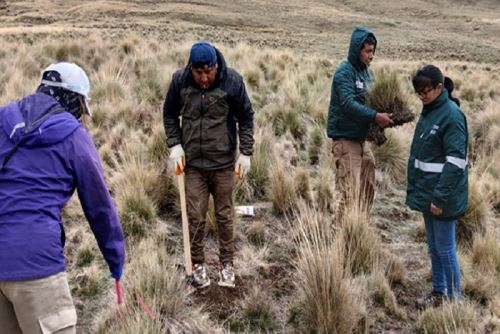 Los próximos pasos incluyen el monitoreo del estado y desarrollo de los pastos para analizar su respuesta ante los diferentes tratamientos.