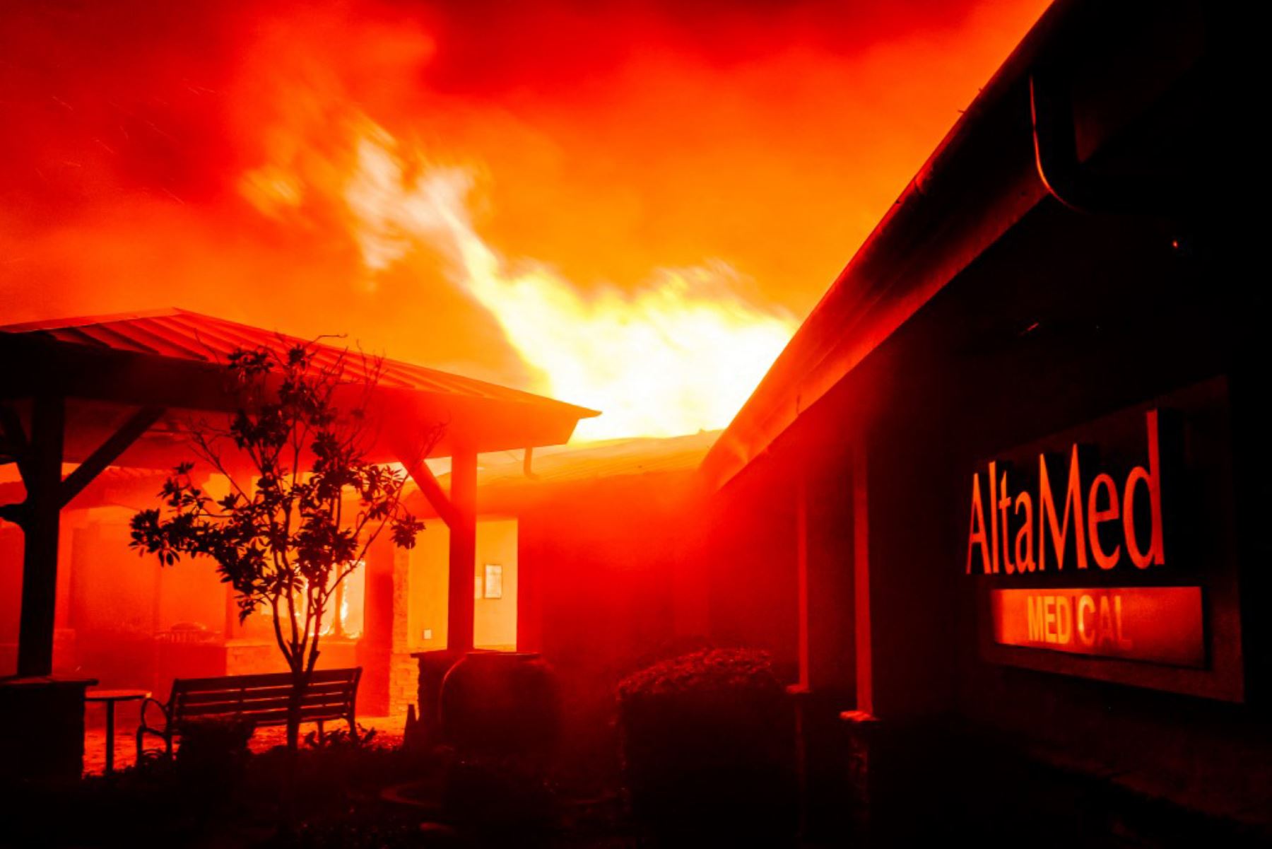 El incendio, que ya ha arrasado cerca de 1.200 hectáreas, comenzó el martes en Pacific Palisades, barrio de lujosas viviendas de celebridades de Hollywood, en las montañas con vistas al noroeste de la ciudad. Foto: AFP