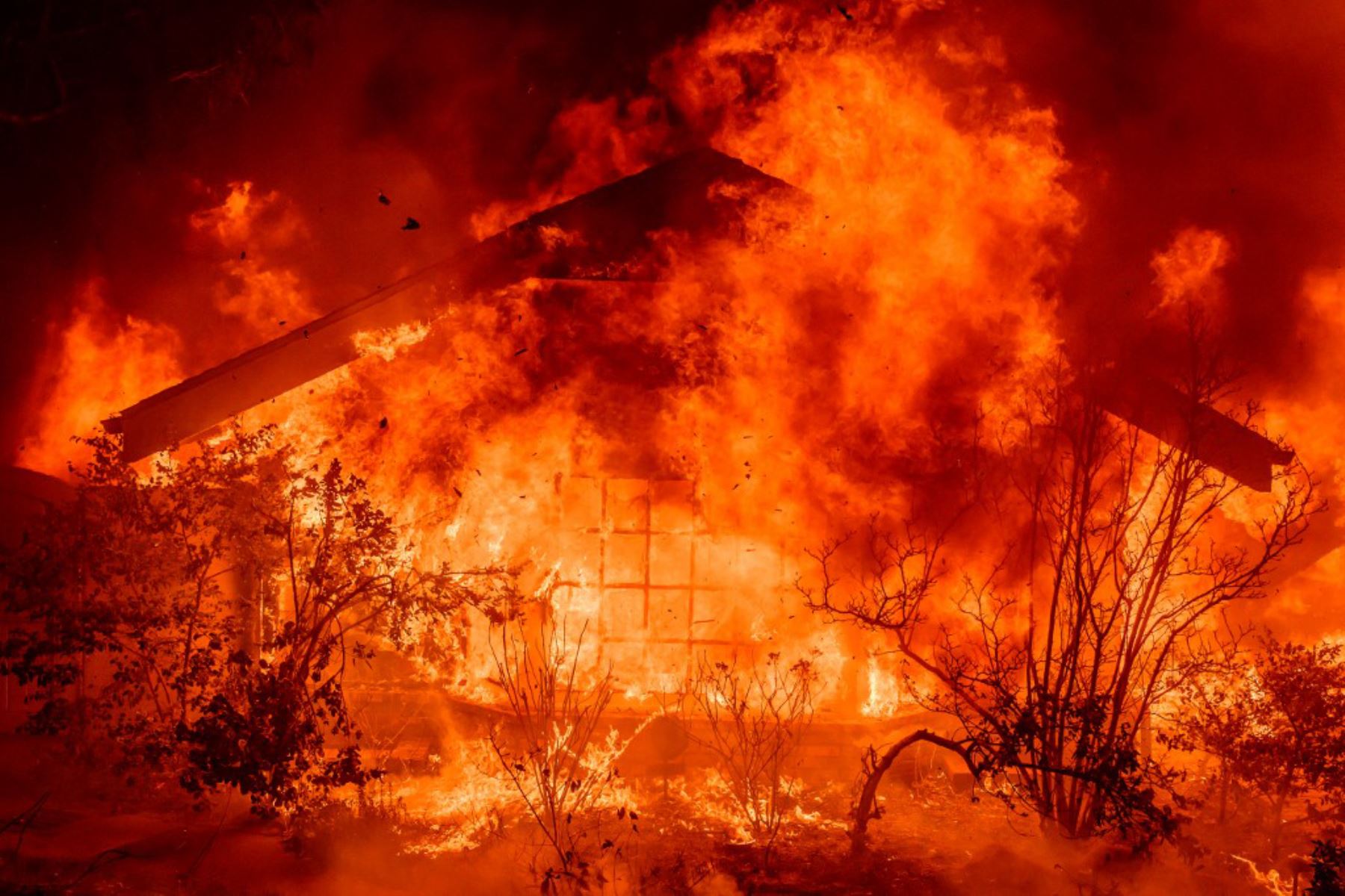 El incendio, que ya ha arrasado cerca de 1.200 hectáreas, comenzó el martes en Pacific Palisades, barrio de lujosas viviendas de celebridades de Hollywood, en las montañas con vistas al noroeste de la ciudad. Foto: AFP