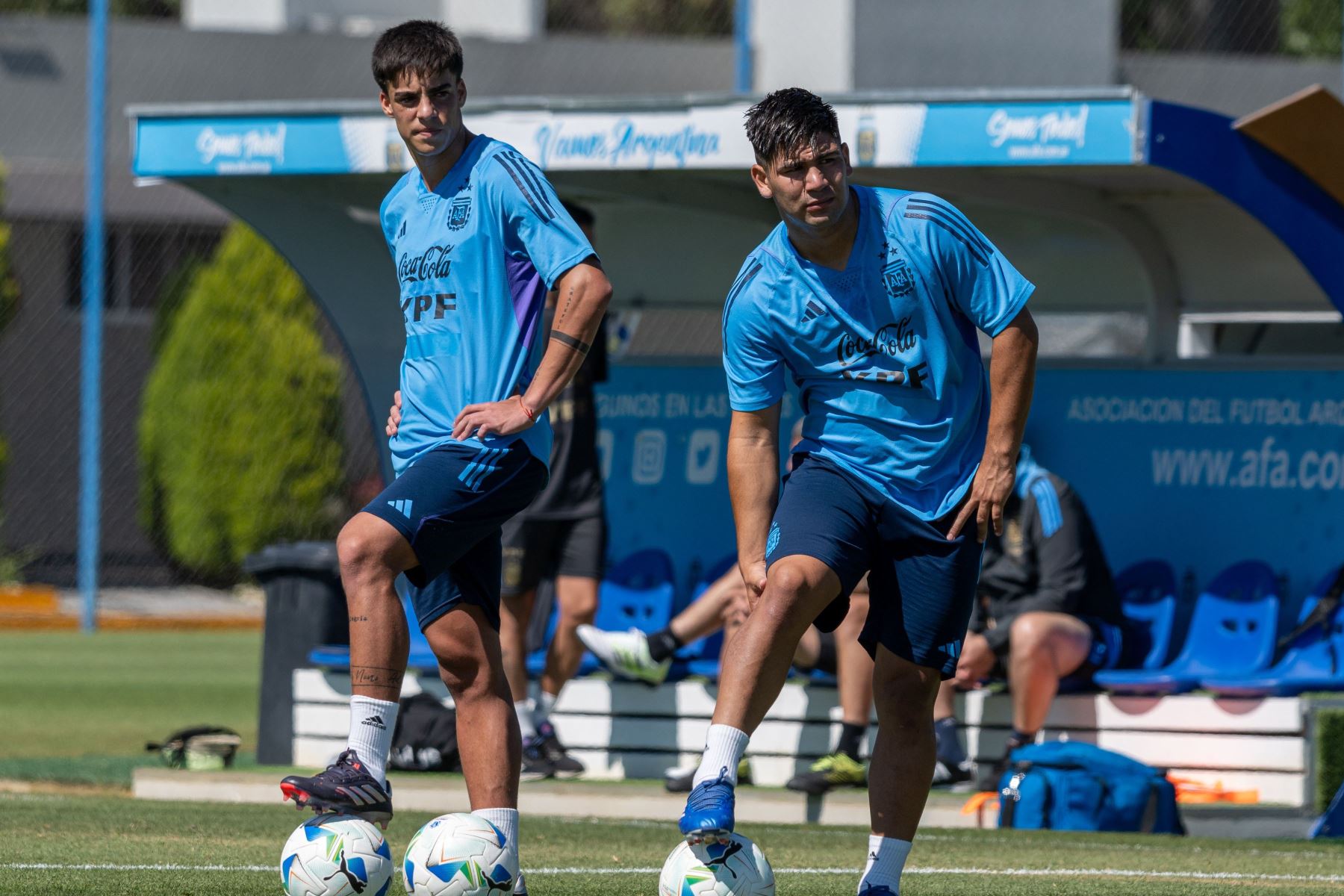 Selección argentina Sub 20