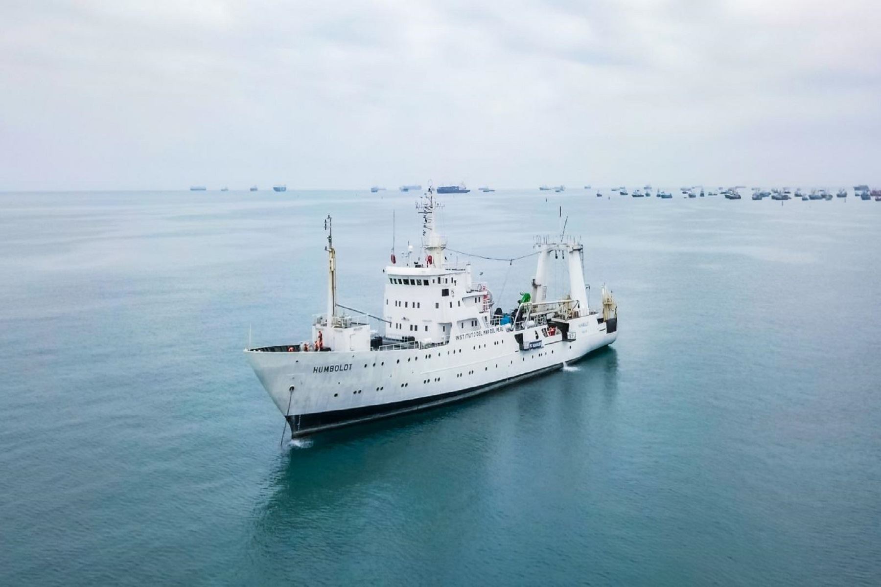 Con el propósito de evaluar indicadores biológicos y pesqueros del recurso calamar gigante o pota (Dosidicus gigas), el ministerio de la Producción (Produce) a través del Instituto del Mar del Perú (Imarpe), iniciará un crucero de investigación del 15 de enero al 2 de febrero. Cortesía Produce