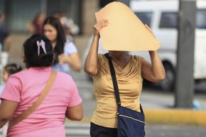 El Indeci recomienda usar sombreros de ala ancha y gafas con filtro ultravioleta. ANDINA/Jhonel Rodríguez Robles