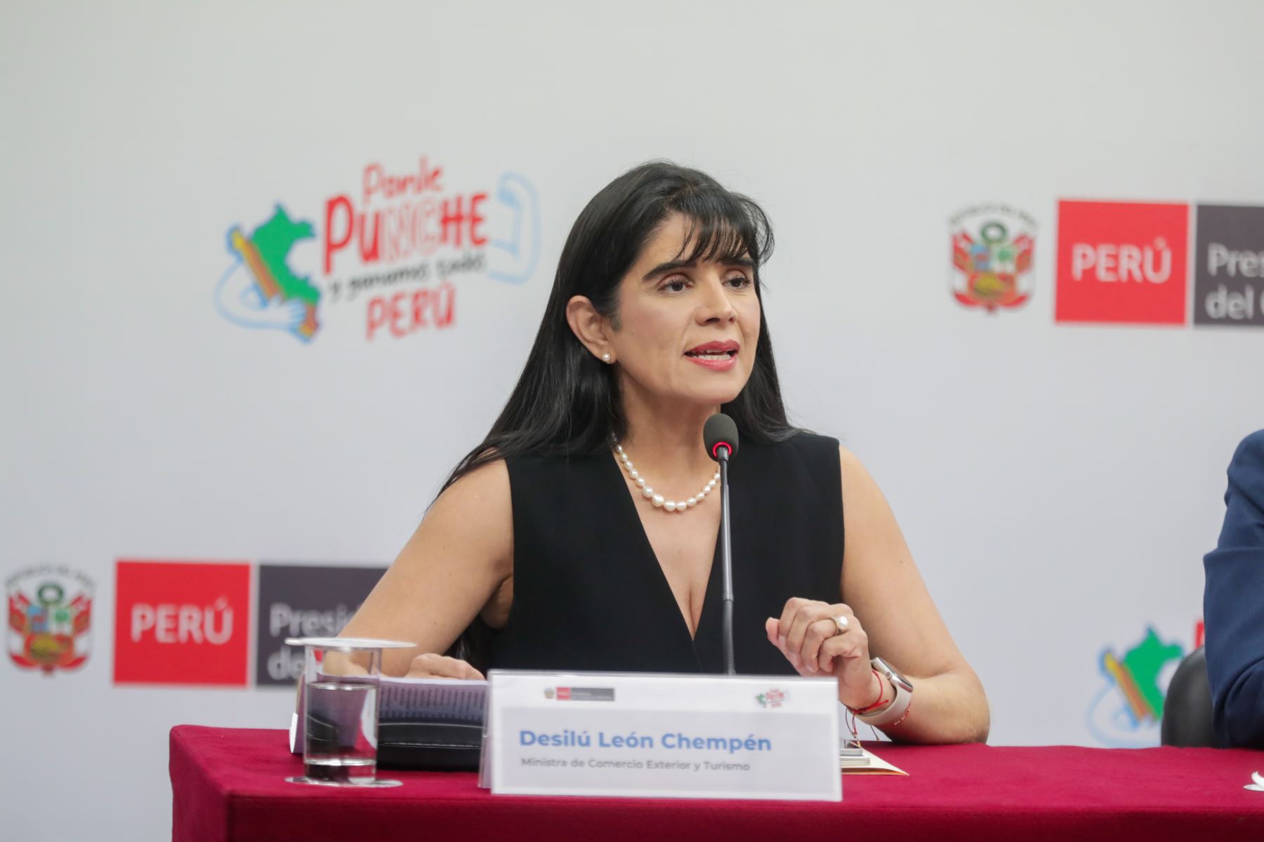 Foto: ANDINA/difusión.