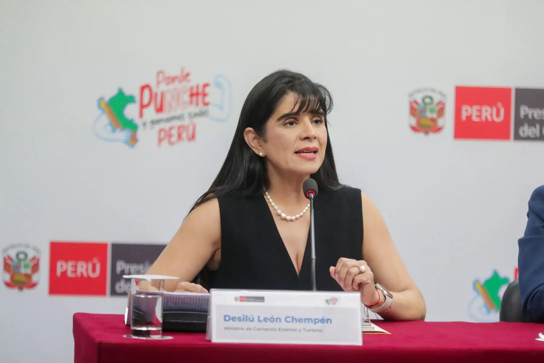 Foto: ANDINA/difusión.