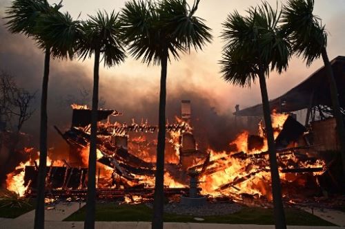 Al menos 7 personas han fallecido hasta hoy por el fuego que arrasa diversas zonas de Los Ángeles. Foto: AFP