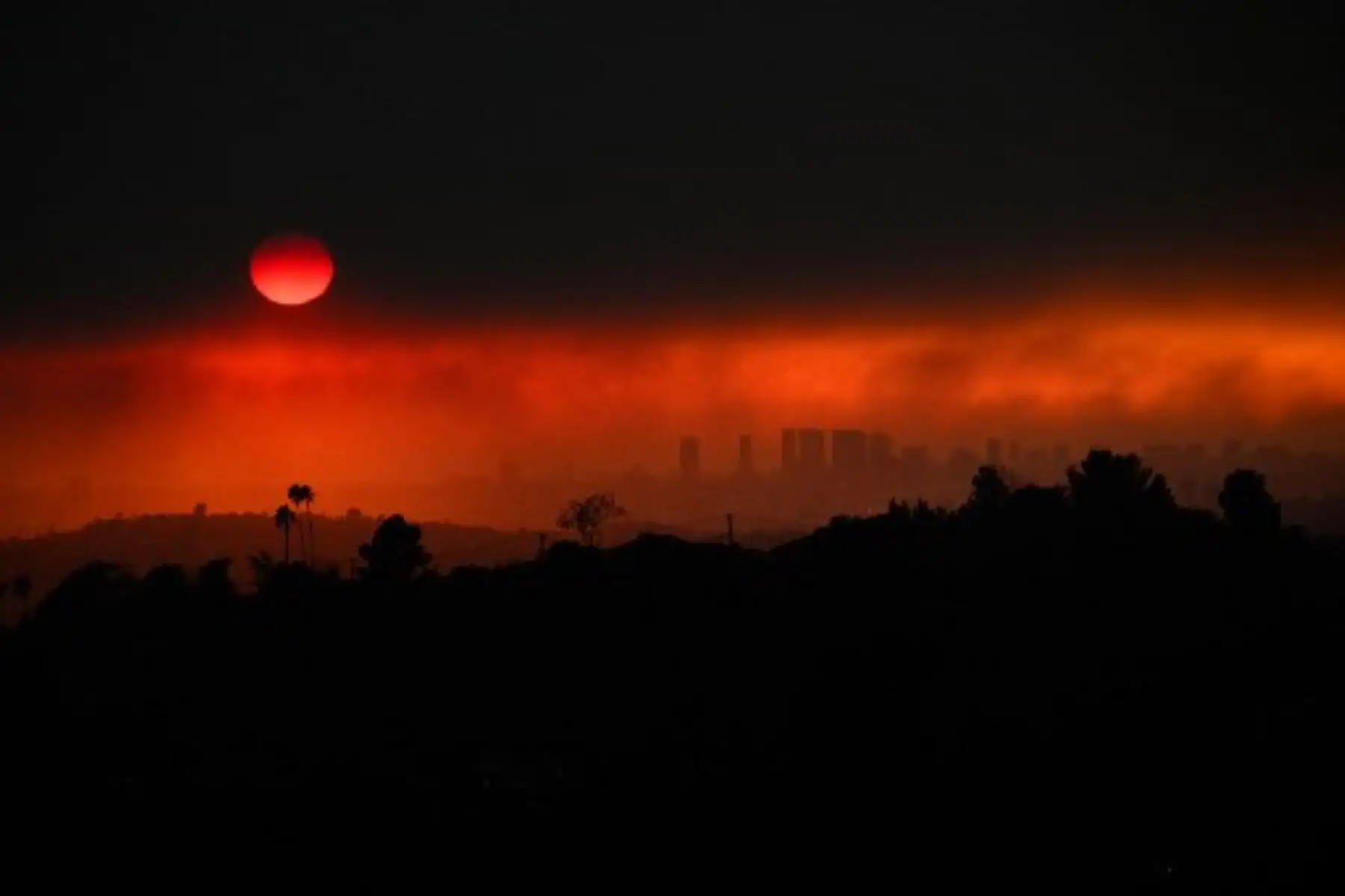 Las muertes ocurrieron en Altadena, un suburbio vecino de la ciudad de Pasadena, al norte de Los Ángeles, donde las llamas quemaron casi 4.300 hectáreas. Foto: AFP