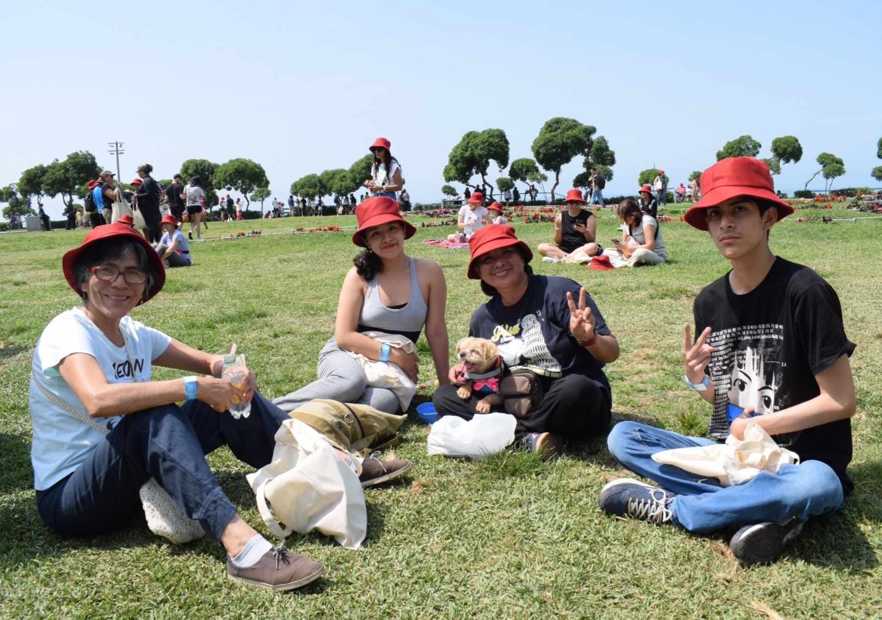 Oso Paddington: peruanos participan de picnic gratuito previo a estreno de su película.