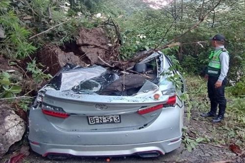 Pasco: roca y árboles aplastan vehículo y conductor se salva de milagro