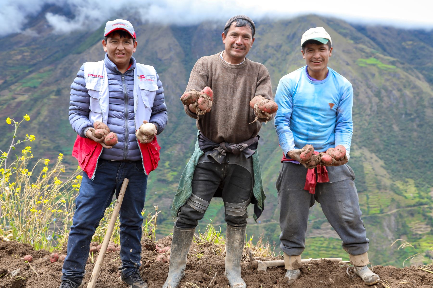 Los yachachiq comparten sus saberes con familias rurales para mejorar su calidad de vida. Foto: ANDINA/Difusión