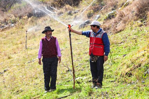 Conoce a los Yachachiq: líderes del desarrollo productivo agropecuario en la sierra y selva del Perú