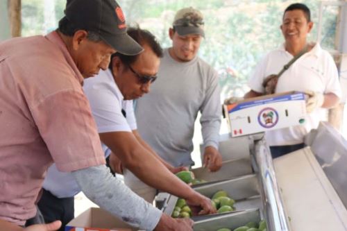 La Asociación de Productores Agropecuarios de Llacallaca, de la provincia de Huarochirí (Lima), beneficiaria del programa Agro Rural  fue galardonada por su gestión innovadora del agua en el I Concurso “Experiencias que Inspiran: Agricultura Familiar Andina Resiliente al Cambio Climático”. ANDINA/Difusión