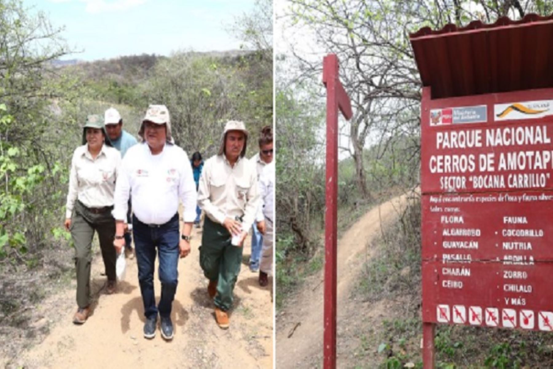 A través del Sernanp se ha trabajado planificadamente para potenciar durante este año el turismo sostenible en todas las áreas naturales protegidas del Perú.