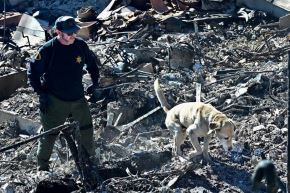  Rescatistas buscan cadáveres antes de que el viento arrecie en Los Ángeles. Foto: AFP