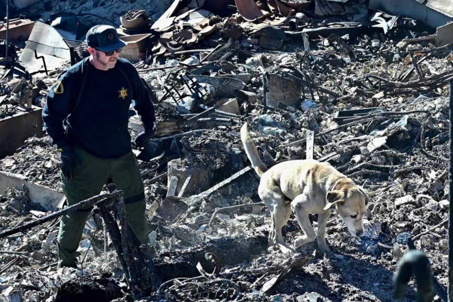 Rescatistas buscan cadáveres antes de que el viento arrecie en Los Ángeles. Foto: AFP