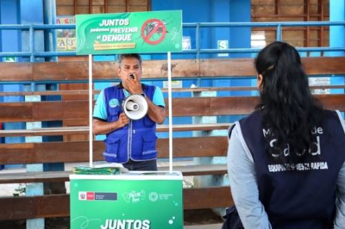 El dengue es una enfermedad transmitida por la picadura del zancudo "Aedes aegypti". Foto: Gore Ucayali