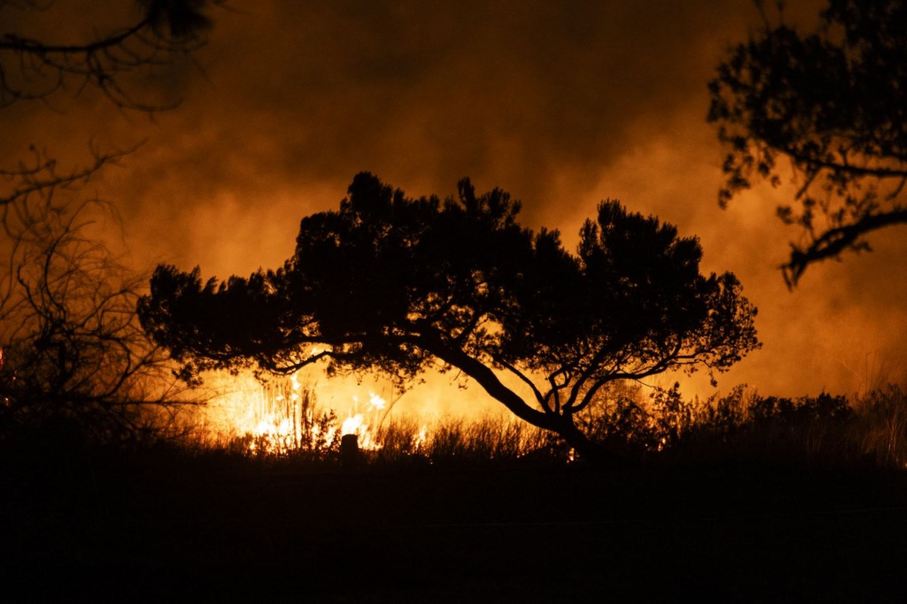 Se ha confirmado la muerte de al menos 24 personas a causa de los incendios que han arrasado la ciudad, reduciendo barrios enteros a cenizas y dejando a miles de personas sin hogar. Foto: AFP