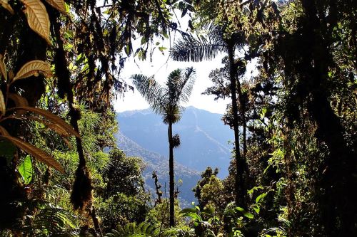 Hace 22 años se creó el Parque Nacional Otishi, que protege la cordillera de Vilcabamba entre Junín y Cusco